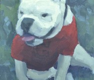 UGA II-Georgia Mascot UGA II-Georgia Mascot